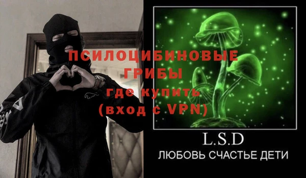 ПСИЛОЦИБИНОВЫЕ ГРИБЫ Балахна