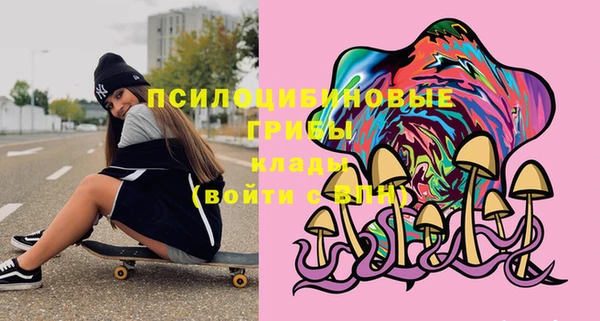 ПСИЛОЦИБИНОВЫЕ ГРИБЫ Балахна