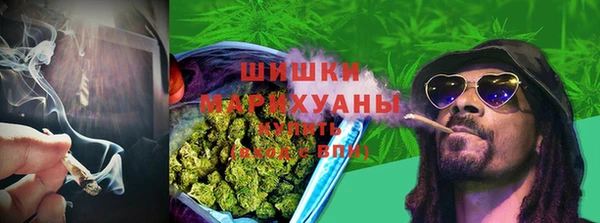 ПСИЛОЦИБИНОВЫЕ ГРИБЫ Балахна