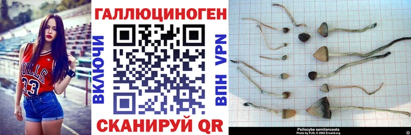 Галлюциногенные грибы Magic Shrooms  как найти   Калязин 